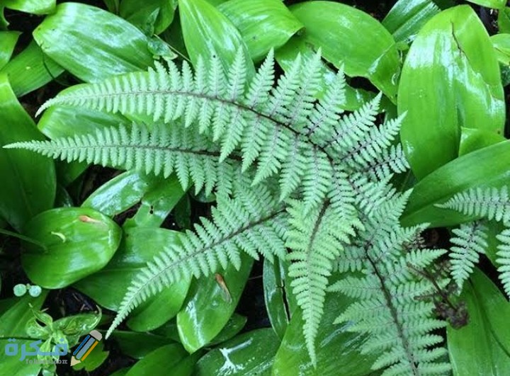 IMG ٢٠٢١٠٣١٦ ٠٤٣٢٠٩