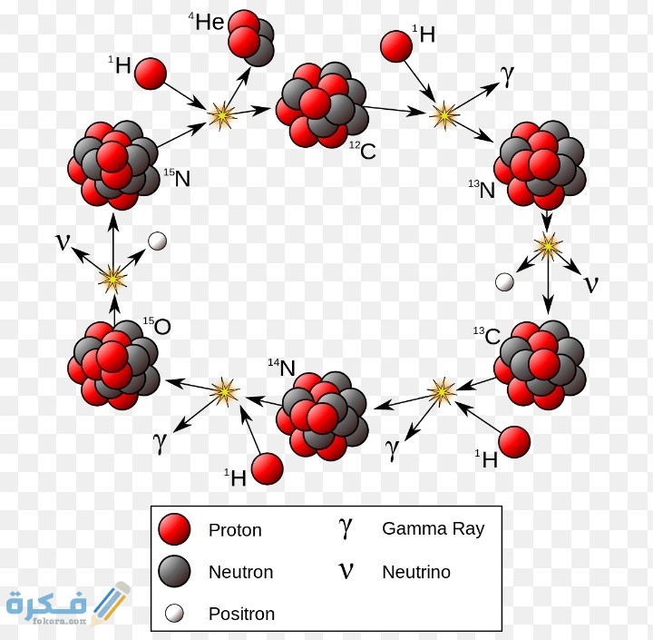 IMG ٢٠٢١٠٣١٦ ٠٤٣٣٣٤