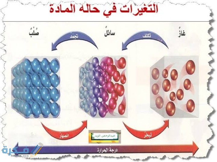 IMG ٢٠٢١٠٣١٦ ٠٥٥٤٣٠
