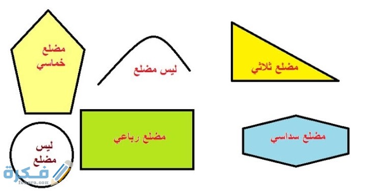 IMG ٢٠٢١٠٣١٧ ٠٣٢٤٣١