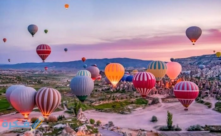 IMG ٢٠٢١٠٣١٧ ٠٣٢٦١٠