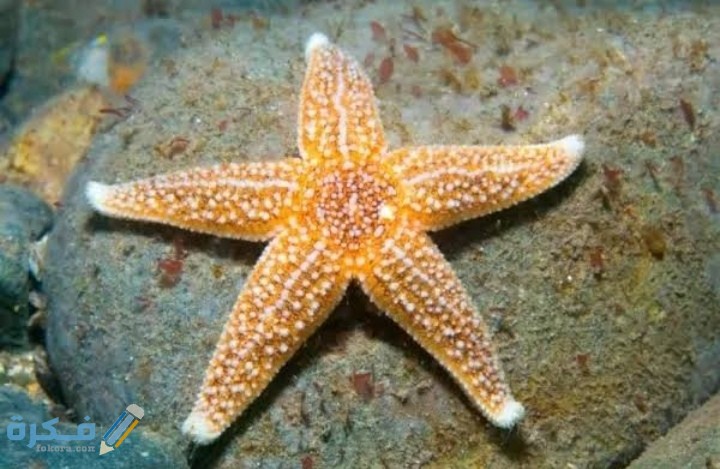 IMG ٢٠٢١٠٣١٨ ٢٣٥٩٠٣