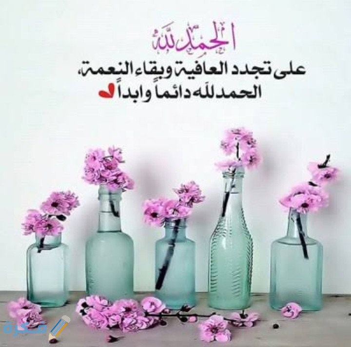 IMG ٢٠٢١٠٣٢٠ ٠٣٣٦٠٦