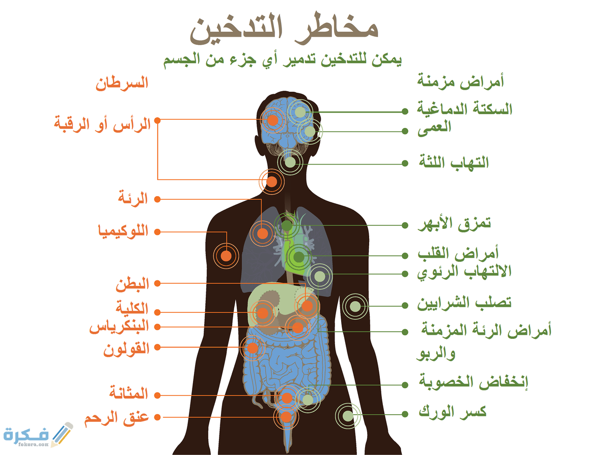 كيفية كتابة تقرير عن التدخين