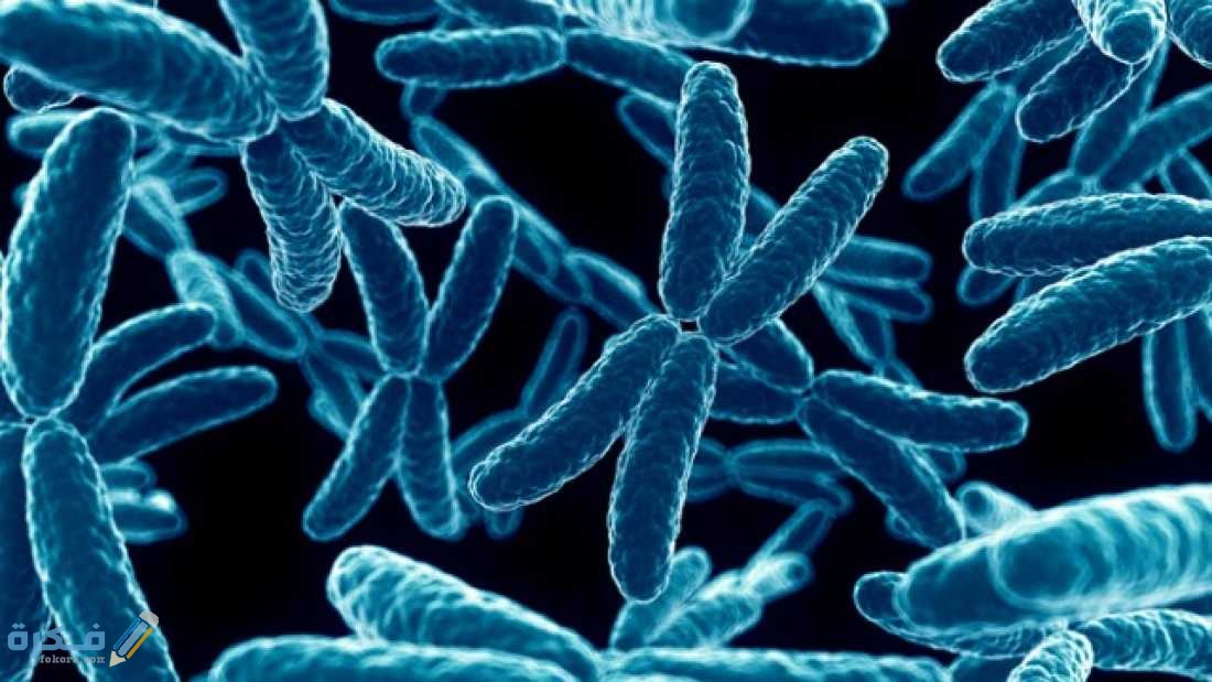 extra large 1464383777 576 why is the x chromosome so odd traffic analogy helped us crack the mystery