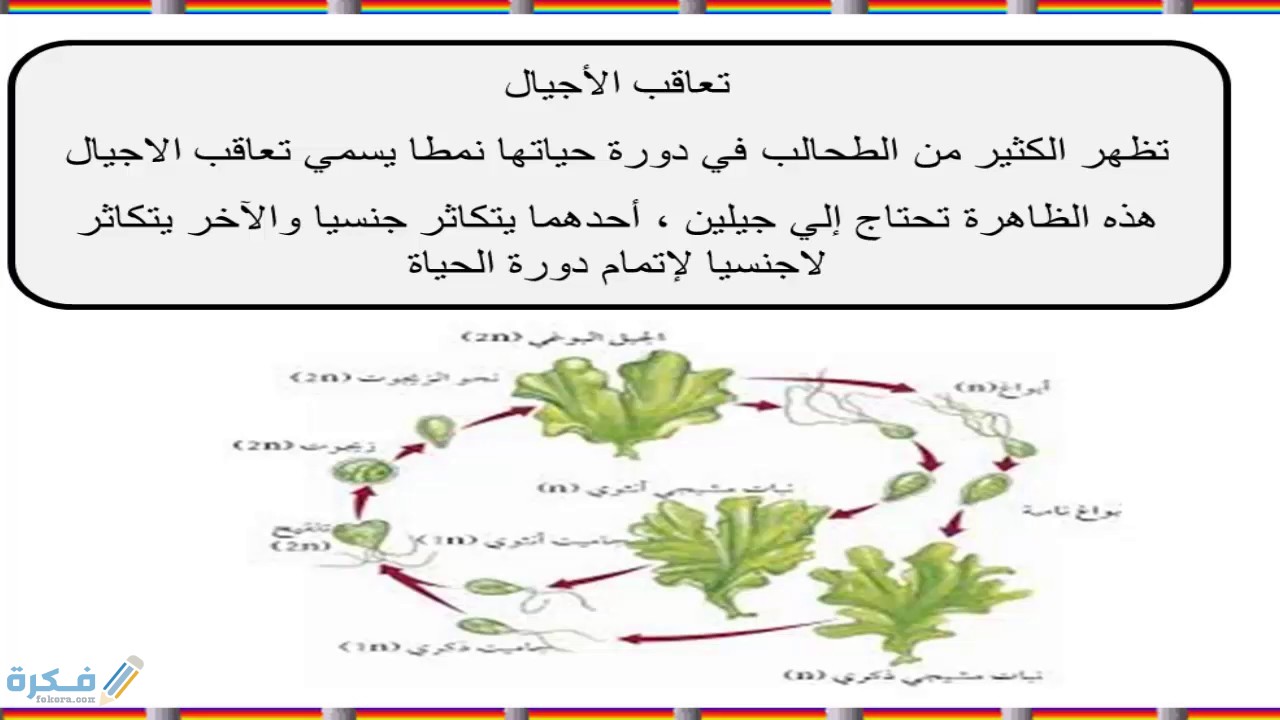 شرح ظاهرة تعاقب الاجيال للصف الثالث الثانوي