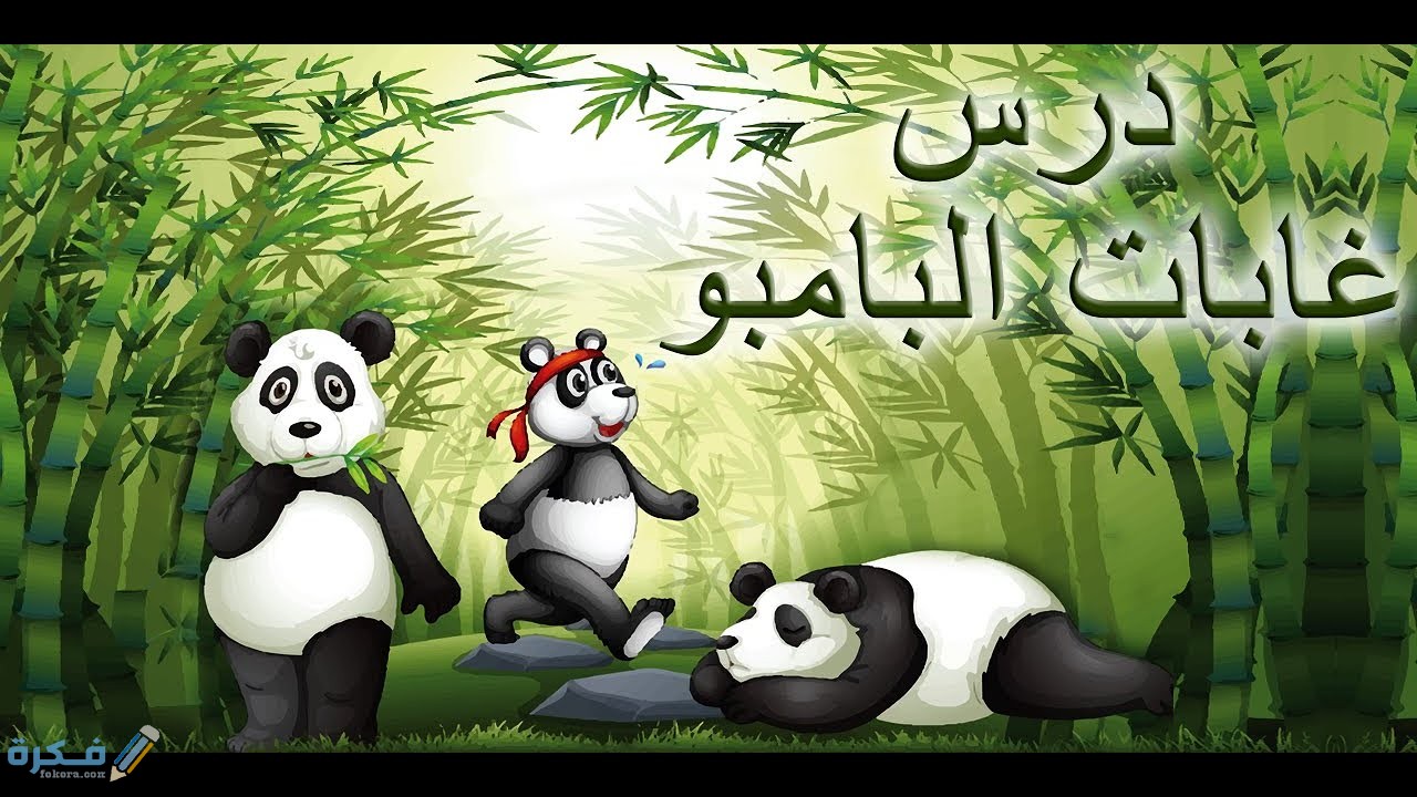 شرح درس غابات البامبو للصف الثالث الابتدائي