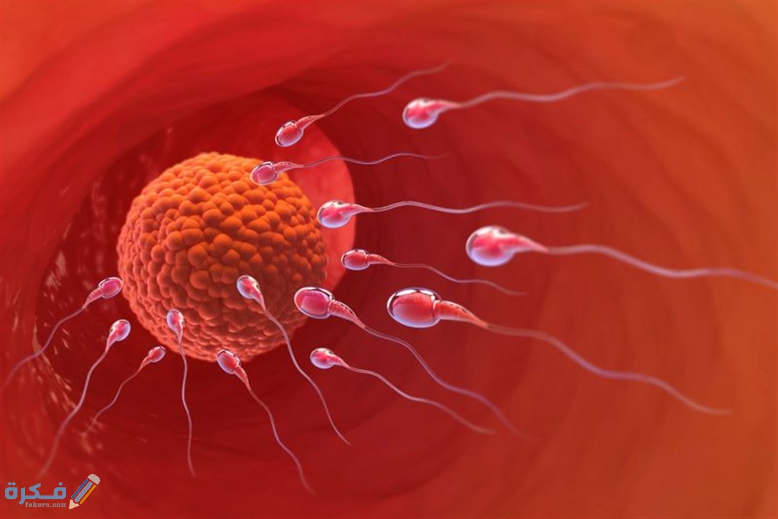 shutterstock 758402488