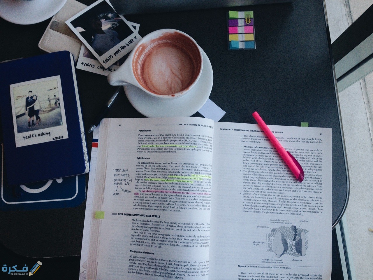 كيف اذاكر احياء 1 كيف أذاكر الأحياء