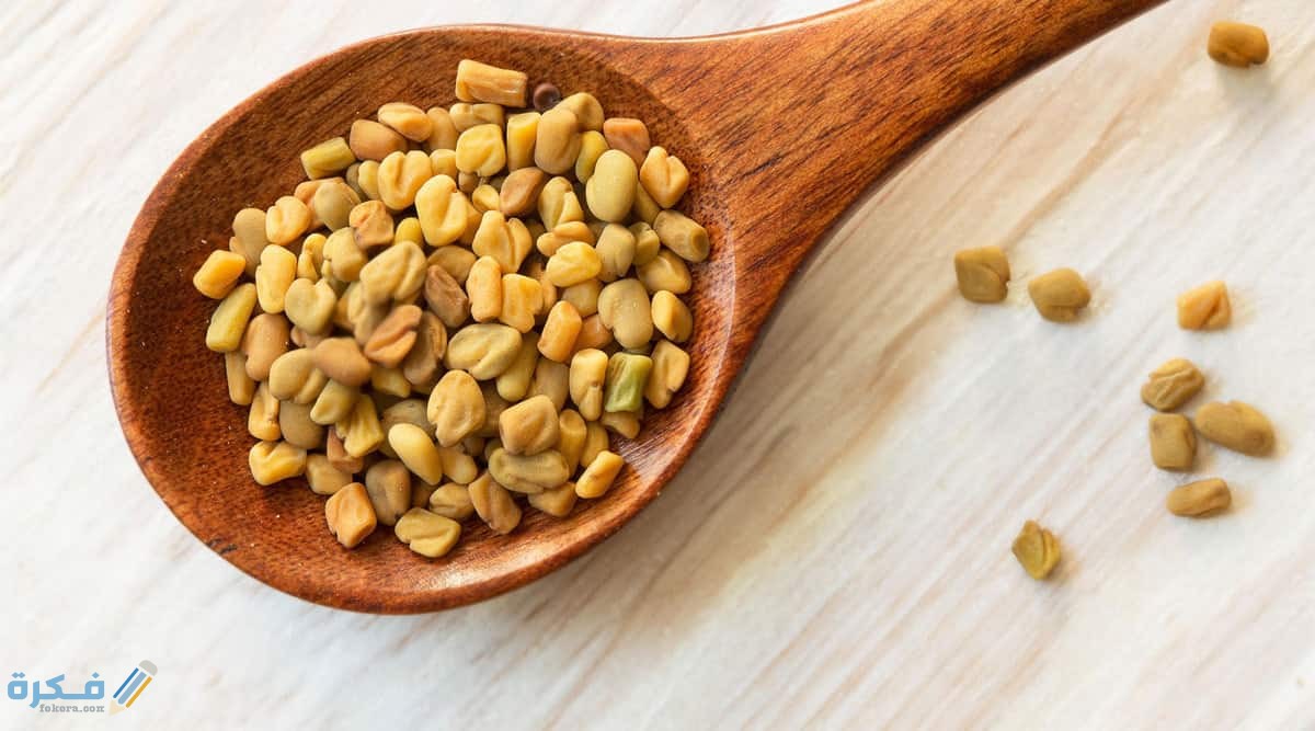 كم كوب من الحلبة يسبب الإجهاض؟