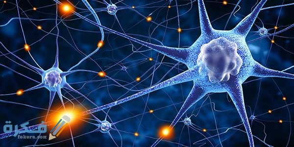 السيالة العصبية