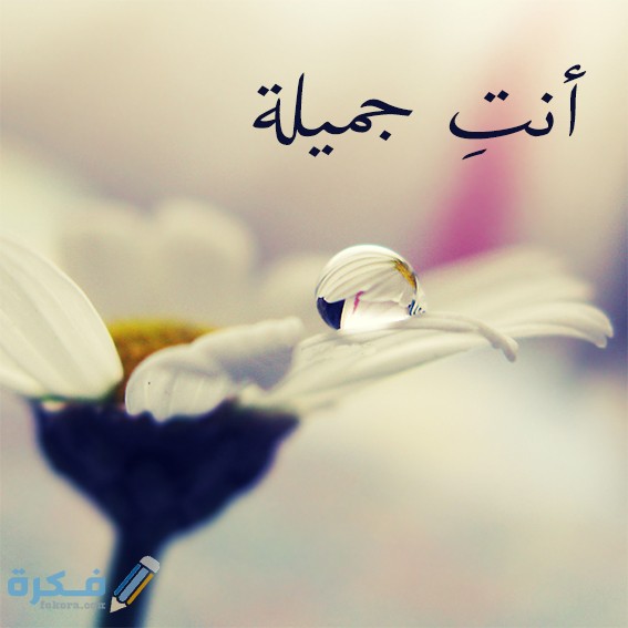 اذا احد قال لي انتي جميله وش ارد ؟ 1 انت جميلة