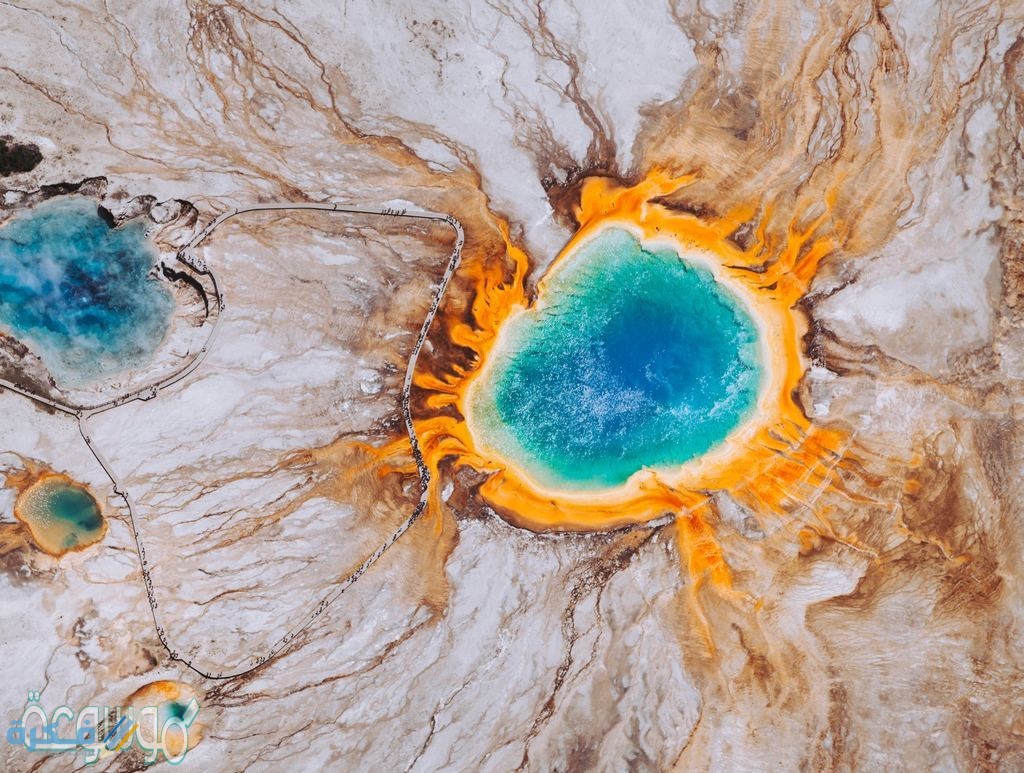 اين تحدث عملية التخمر1