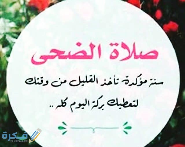 صلاة الضحى بعد الشروق بكام دقيقة وفضل صلاة الضحى