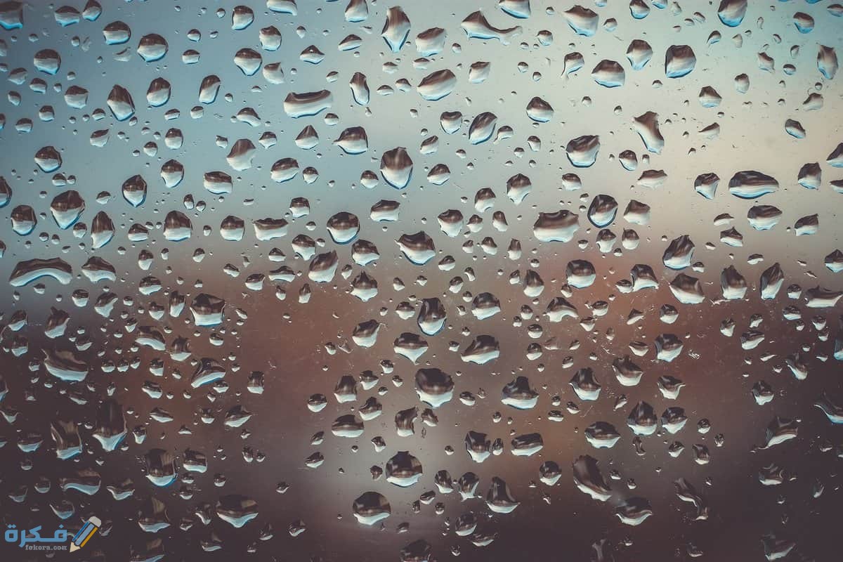 ظاهرة التوتر السطحي