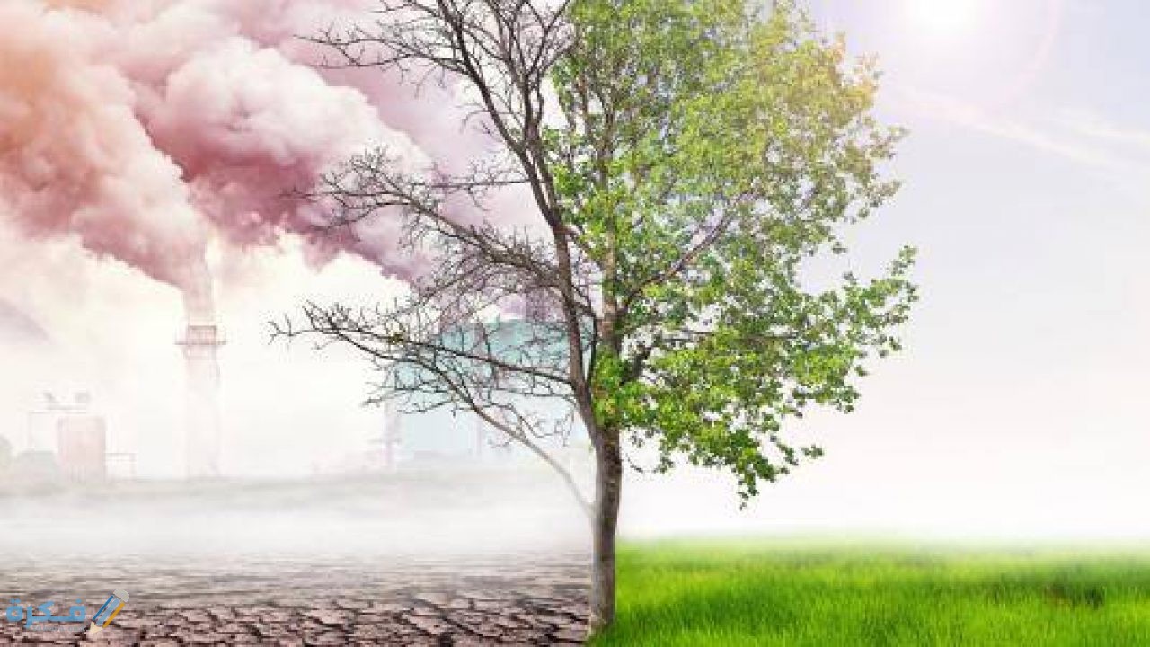 لماذا يعد التلوث مدمر للعالم 1280x720 1