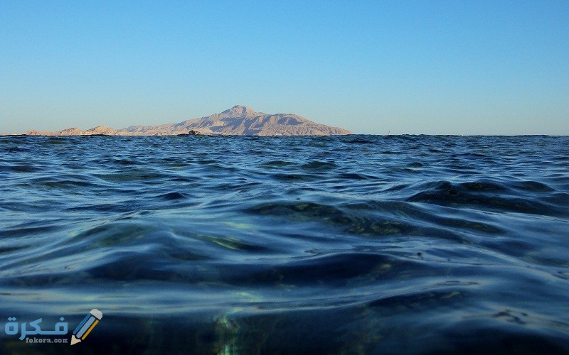 ماذا تسمى الحركة المستمرة لماء المحيط