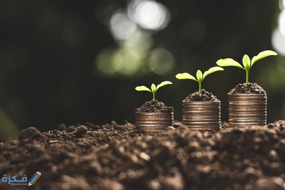 افضل المشاريع الخدمية