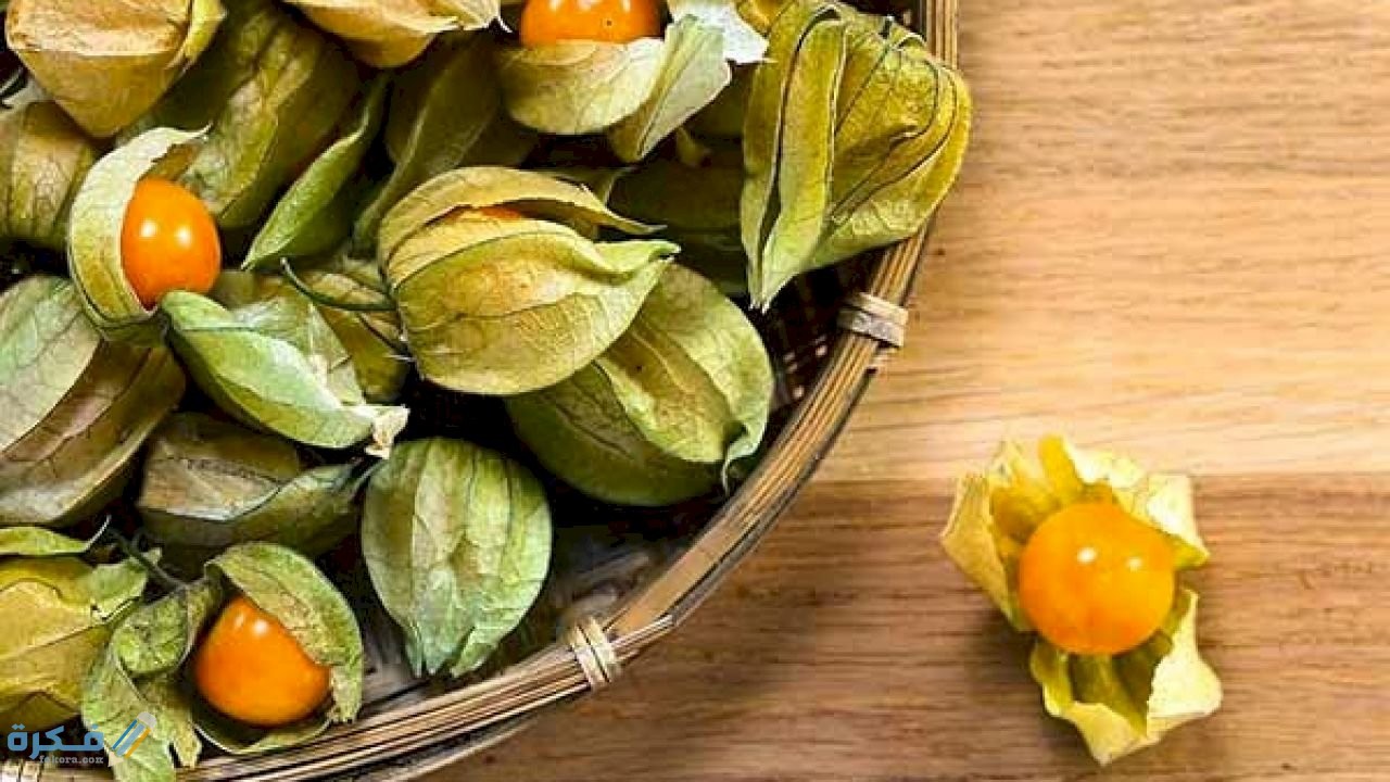 فوائد فاكهة الحرنكش والقيمة الغذائية 8 الفوائد المستخلصة من فاكهة الحرنكش