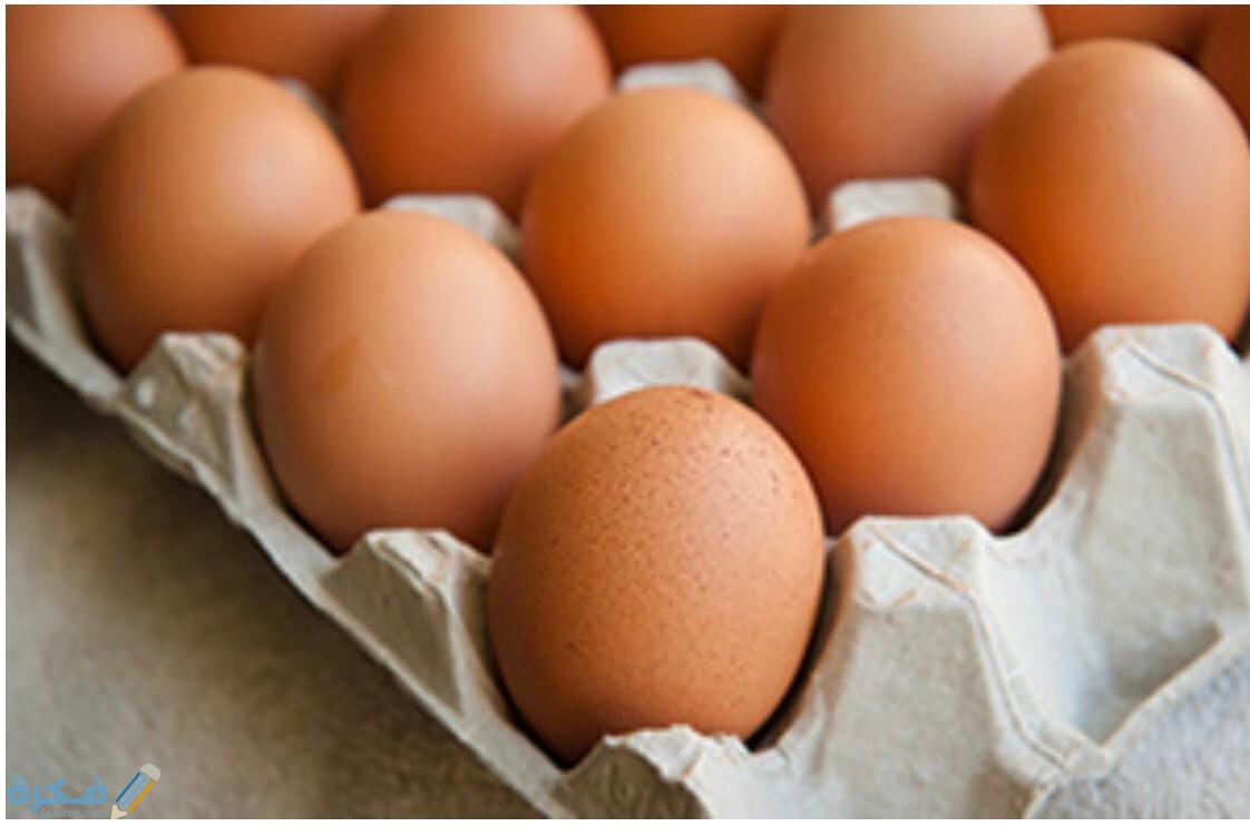عوامل نجاح مشروع بيع البيض