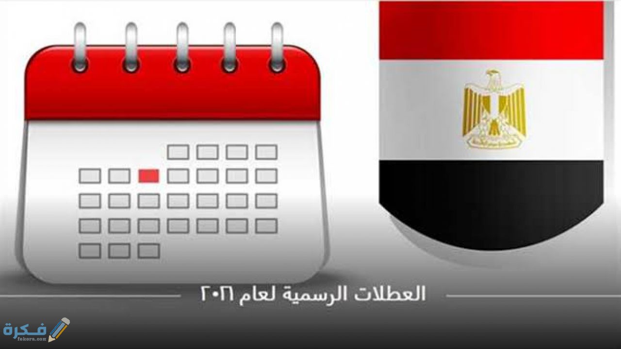 انشطة للقيام بها اثناء العطلات