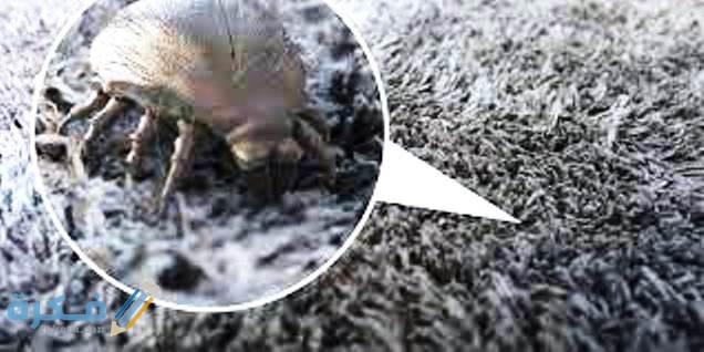 السيطرة على بيئة مقاومة للعث