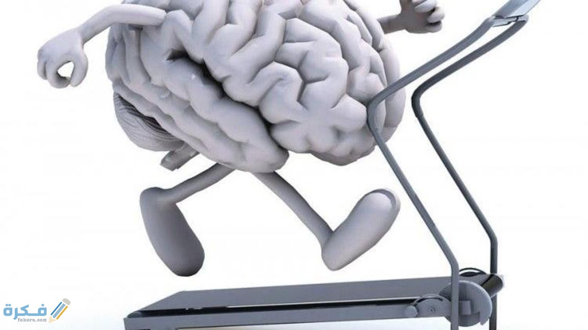 شرح خطوات تنشيط الذاكرة ووظيفة الدماغ بالغذاء الصحي 5 تنشيط الذاكرة بإستخدام الغذاء