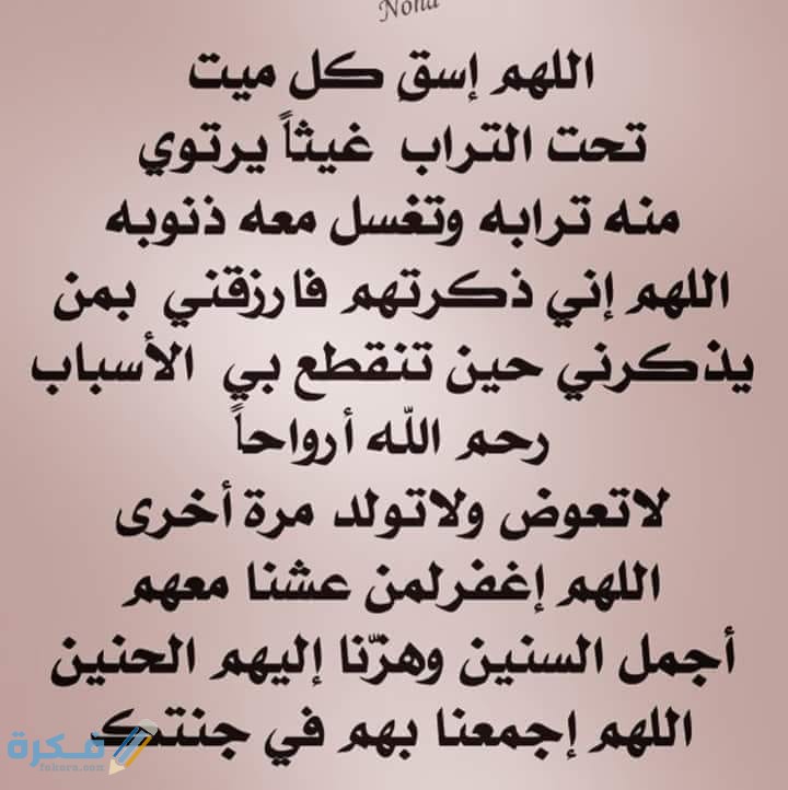 43721096 1891478217587418 3116111391585468416 n 1 1