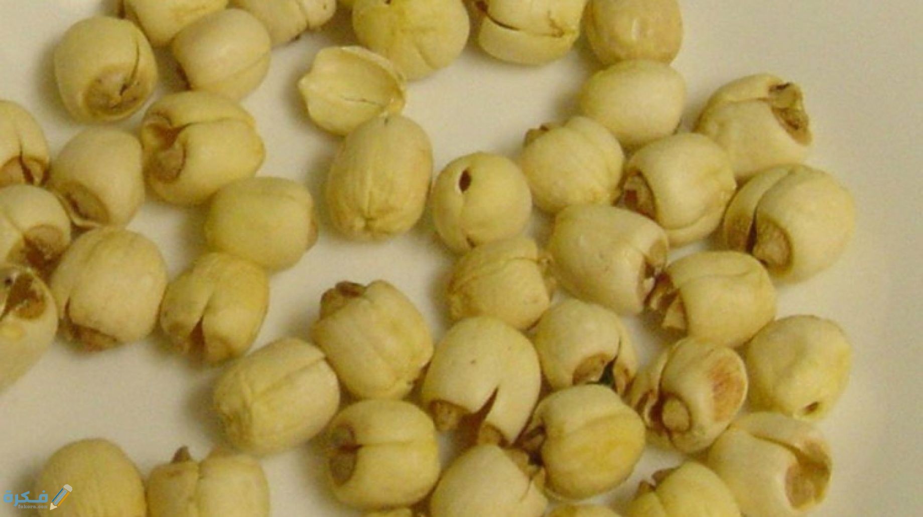 أهم 5 فوائد بذور اللوتس 1 بذور اللوتس