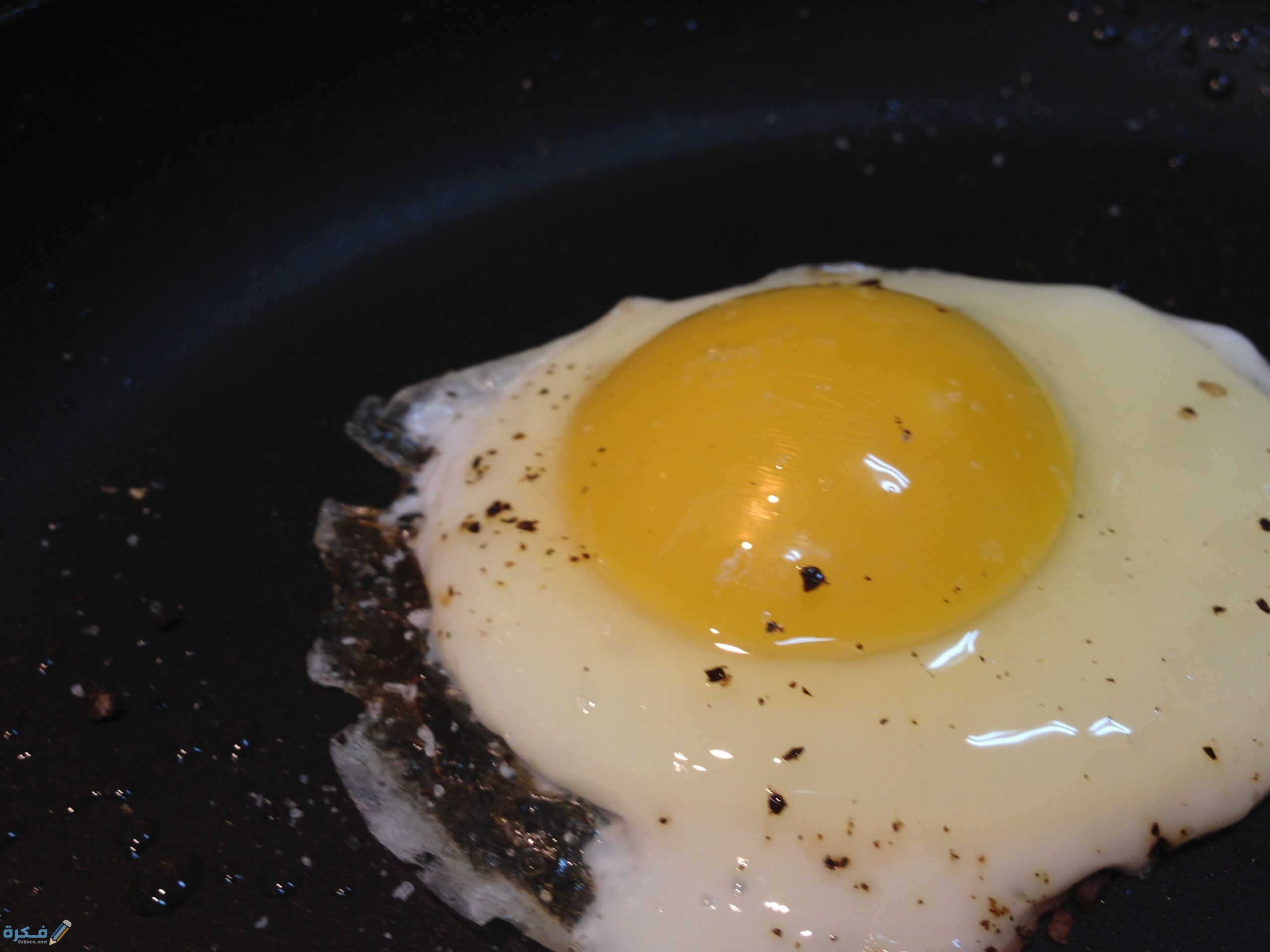 أضرار البيض النباتي