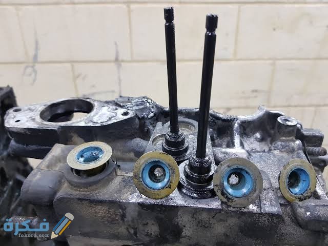 images 2021 04 07T013350.522