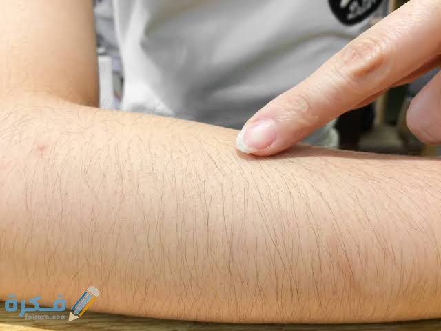 images 2021 04 16T233515.583