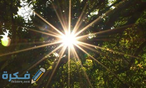 images 2021 04 17T212635.173