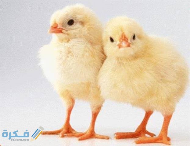 images 2021 04 21T234250.608