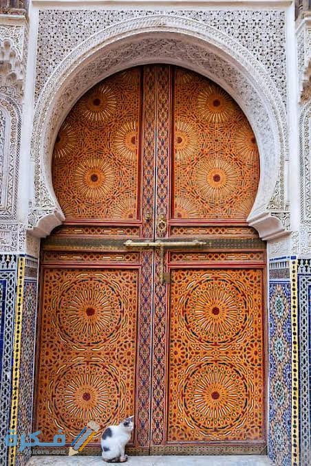 images 2021 04 30T032431.642