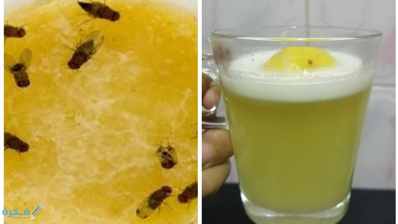 اسباب ظهور هاموش المطبخ