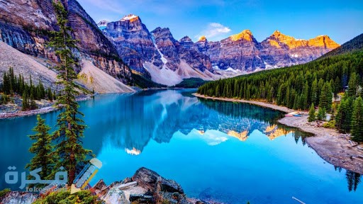 بداية دراسة العلوم الطبيعية