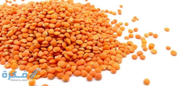 مدة هضم العدس في المعدة