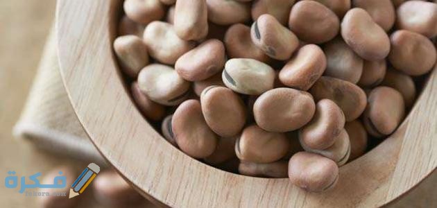 مدة هضم الفول في المعدة