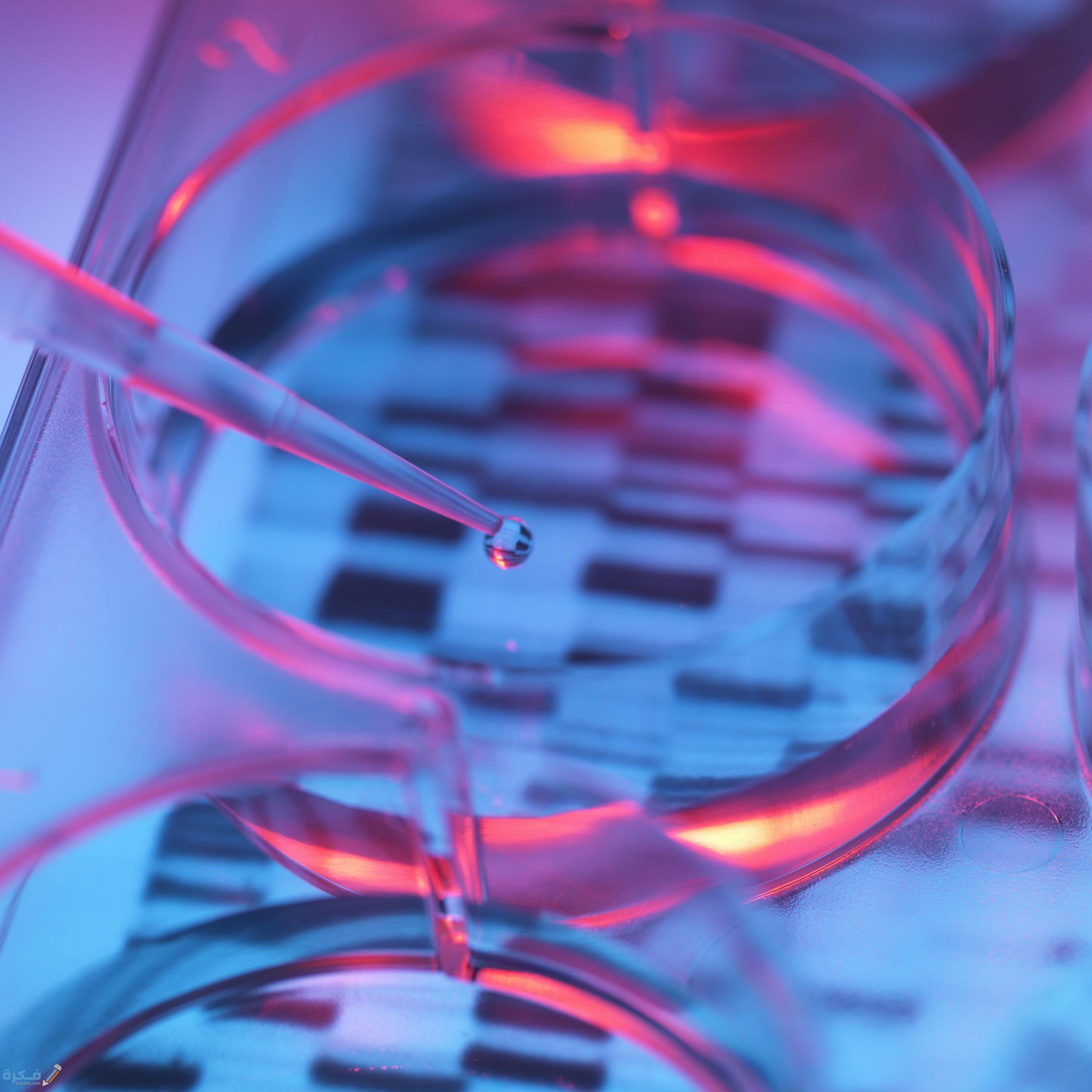 سعر تحليل الكروموسومات للزوجين