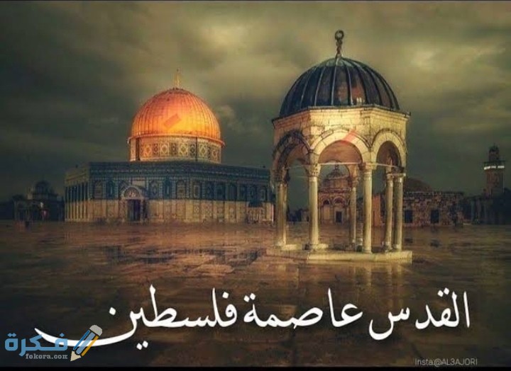 IMG ٢٠٢١٠٥١١ ٠٣٣١١٠