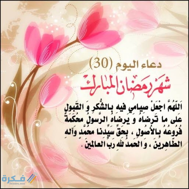 IMG ٢٠٢١٠٥١١ ٠٣٤٢٠٤