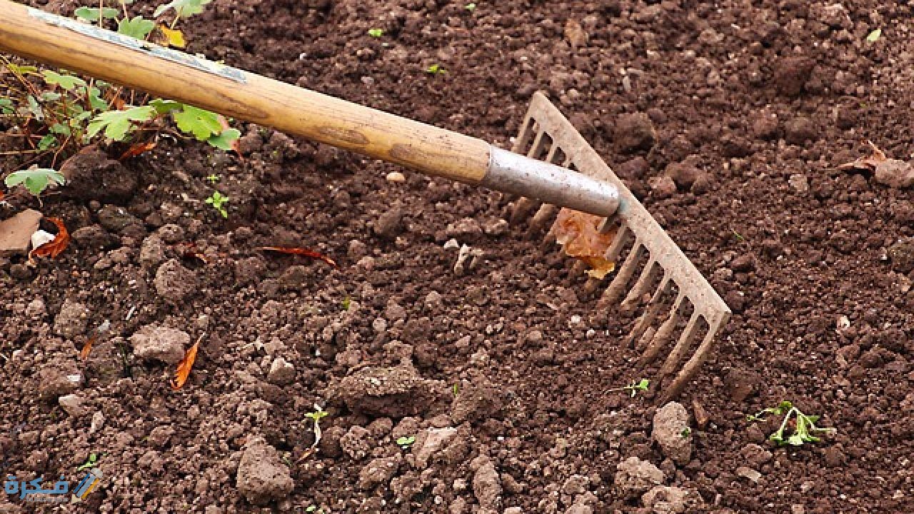 طريقة التخلص من ملوحة التربة