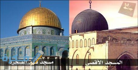 images 2021 05 16T170424.448