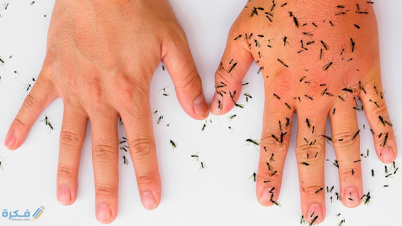 طريقة التخلص من لدغة البعوض