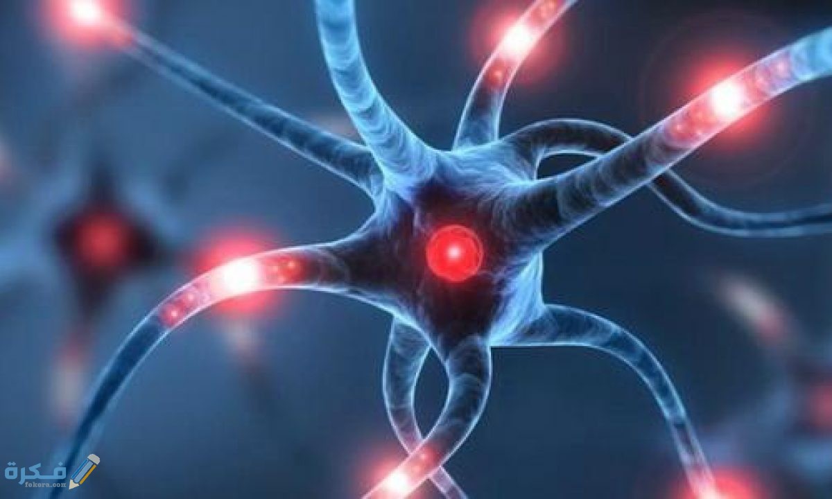 طريقة التخلص من كهرباء الجسم