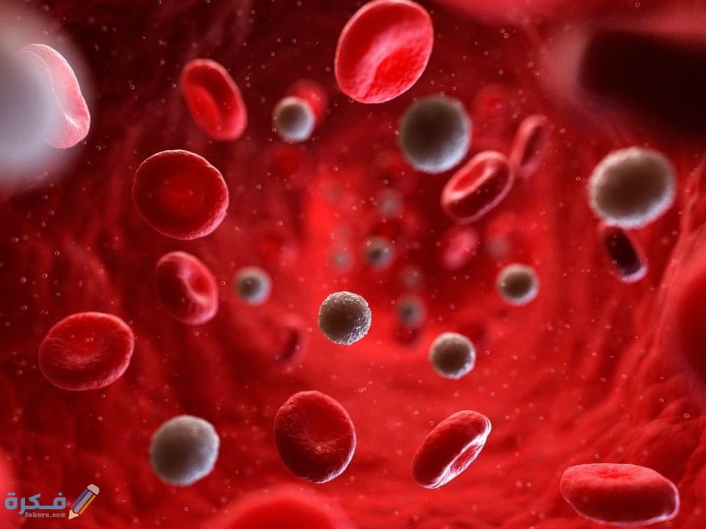 هل ارتفاع كريات الدم الحمراء خطير