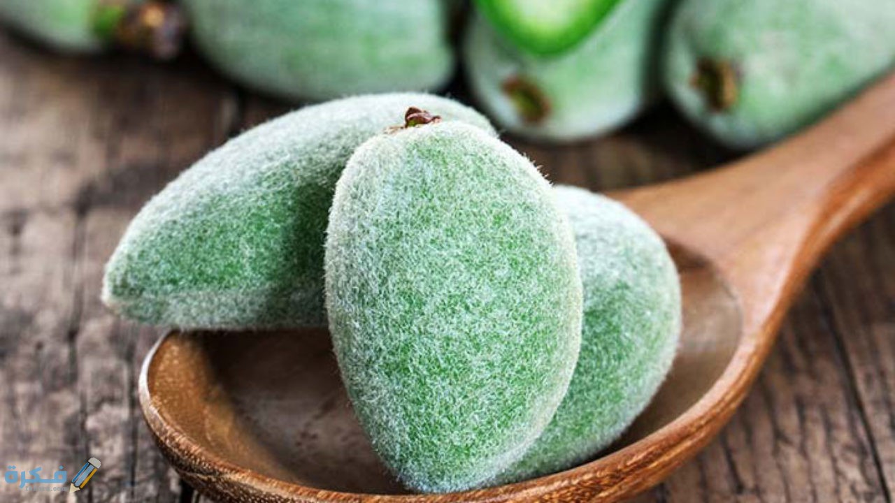 فوائد اللوز للحامل