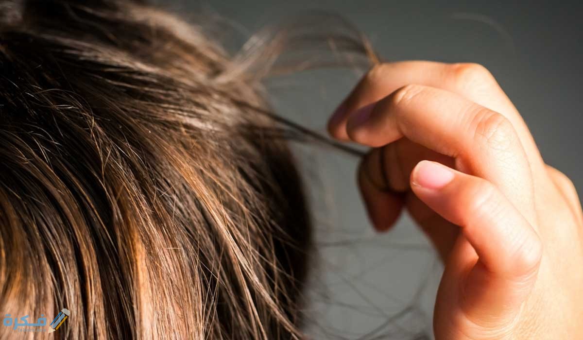 هوس-نتف-الشعر