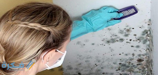 0F4A010F 0B38 4884 B367 F5E9CCD33C03